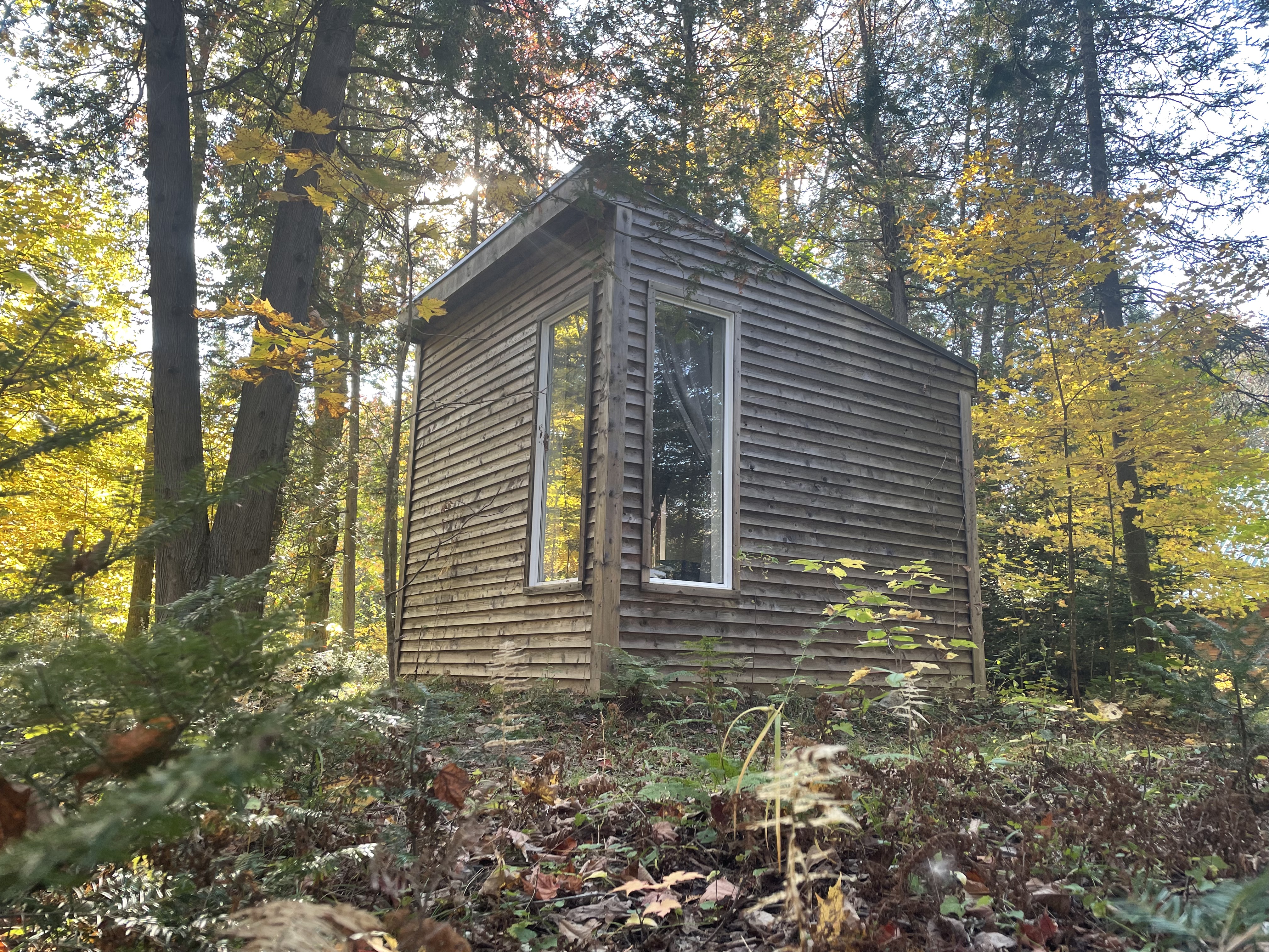 Micro-chalet en forêt